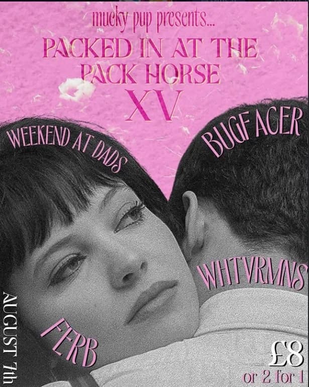Poster for PIATPH XV: BUGFACER // FERB // WHTVRMNS // WEEKEND AT DADS at The Pack Horse, Leeds